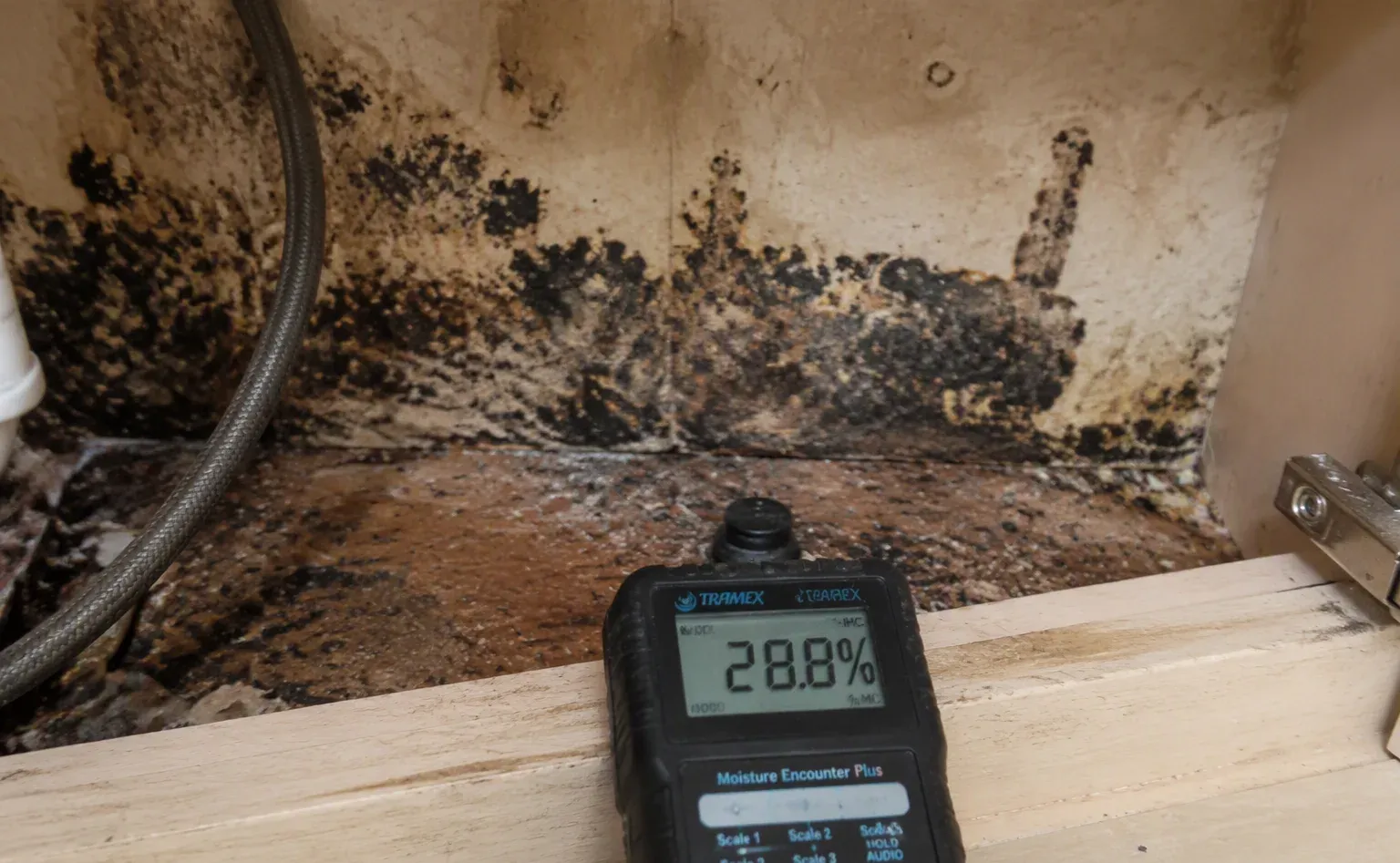 Mold remediation after water damage in a Sarasota kitchen